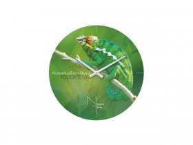 Часы настенные Nicole Time NT503 в Нижнем Бестяхе - nizhnij-bestyah.mebel-nsk.ru | фото